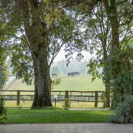 Tenuta Mariano Noceto Eksteriør bilde
